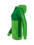 Erima Six Wings Training Jacket With Hood - green/smaragd/white