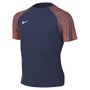 Nike Dri-FIT Academy Fu�balltrikot f�r �ltere Kinder