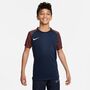 Nike Dri-FIT Academy Fu�balltrikot f�r �ltere Kinder