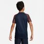Nike Dri-FIT Academy Fu�balltrikot f�r �ltere Kinder