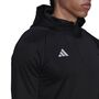 adidas Herren Tiro 23 Competition Hoodie