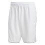 adidas Herren Club Tennis Shorts