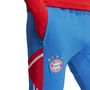 adidas Herren FC Bayern M�nchen Condivo 22 Trainingshose