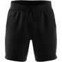 adidas Herren Essentials Logo Shorts