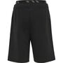 Hummel Hmledward Shorts - black