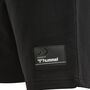 Hummel Hmledward Shorts - black