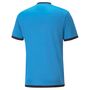 Puma teamLIGA Referee Jersey - blau
