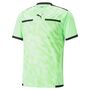 Puma teamLIGA Referee Jersey - gr�n