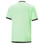 Puma teamLIGA Referee Jersey - gr�n