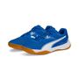 Puma Solarflash Ii - puma royal-puma white-gum