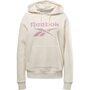 Reebok Ri Big Logo Fleece Hoodie