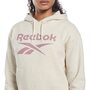 Reebok Ri Big Logo Fleece Hoodie