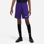 Nike Dri-FIT Park 3 Big Kinder Fu�ball Shorts