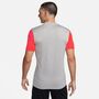 Nike Dri-FIT Trophy 5 Kurzarm-Fu�balltrikot f�r Herren (Stock)