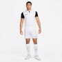 Nike Dri-FIT Trophy 5 Kurzarm-Fu�balltrikot f�r Herren (Stock)