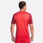 Nike Dri-FIT Trophy 5 Kurzarm-Fu�balltrikot f�r Herren (Stock)