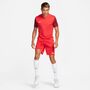 Nike Dri-FIT Trophy 5 Kurzarm-Fu�balltrikot f�r Herren (Stock)