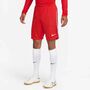 Nike Dri-FIT League 3 Strick-Fu�ballshorts f�r Herren (Stock)