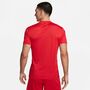 Nike Dri-FIT Academy Kurzarm-Fu�balloberteil f�r Herren (Stock)