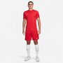 Nike Dri-FIT Academy Kurzarm-Fu�balloberteil f�r Herren (Stock)