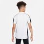 Nike Dri-FIT Academy Kurzarm-Poloshirt f�r �ltere Kinder (Stock)