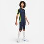 Nike Dri-FIT Academy Kurzarm-Poloshirt f�r �ltere Kinder (Stock)