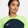 Nike Teamsport Ddri-Fit STRIKE 23 T-Shirt