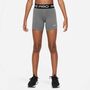 Nike G Np Df 3In Short Trainingsshorts