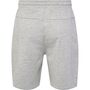 Hummel Hmlicons Regular Shorts - grey melange