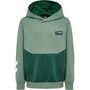 Hummel Hmleddy Hoodie - laurel wreath