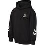 Hummel Hmldue Hoodie - black