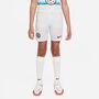 Nike Kinder Shorts kurze Hose Cfc Y Nk Df Stad Short Ha