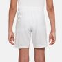 Nike Kinder Shorts kurze Hose Cfc Y Nk Df Stad Short Ha