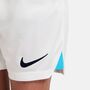 Nike Kinder Shorts kurze Hose Cfc Y Nk Df Stad Short Ha