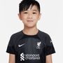 Nike Lfc Lk Nk Df Kit Gk Torwarttrikot