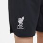 Nike Lfc Lk Nk Df Kit Gk Torwarttrikot