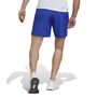 adidas Herren Train Essentials Woven Training Shorts