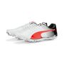 Puma evoSPEED Electric 13 - weiss
