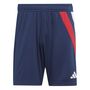 adidas Herren Fortore 23 Shorts