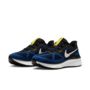 Nike Nike Air Zoom Structure 25 Laufschuhe
