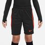 Nike Kinder Shorts kurze Hose K Nk Df Strk Short K Br