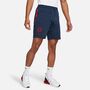 Nike Paris Saint-Germain Herren Fu�ball Shorts
