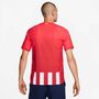 Nike Herren Trikot T-Shirt Atm M Nk Dfadv Match Jsy Ss Hm