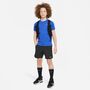 Nike Dri-Fit Challenger Short