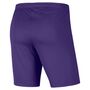 Nike Dri-FIT Park 3 Herren Knit Fu�ball Shorts