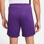 Nike Dri-FIT Park 3 Herren Knit Fu�ball Shorts