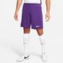Nike Dri-FIT Park 3 Herren Knit Fu�ball Shorts