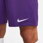 Nike Dri-FIT Park 3 Herren Knit Fu�ball Shorts