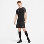Nike Dri-FIT Strike Herren-Fu�ballshorts