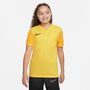Nike Dri-FIT Trophy 5 Kurzarm-Fu�balltrikot f�r �ltere Kinder (Stock)